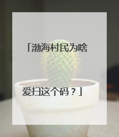 渤海村民为啥爱扫这个码？