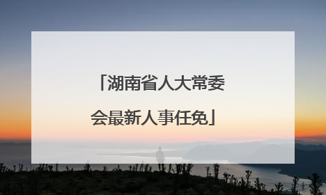 湖南省人大常委会最新人事任免