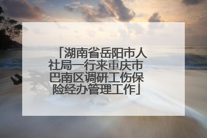 湖南省岳阳市人社局一行来重庆市巴南区调研工伤保险经办管理工作