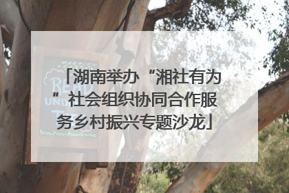 湖南举办“湘社有为”社会组织协同合作服务乡村振兴专题沙龙