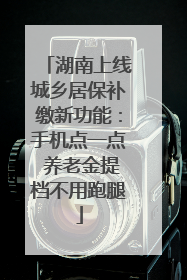 湖南上线城乡居保补缴新功能：手机点一点 养老金提档不用跑腿
