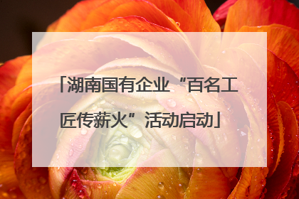 湖南国有企业“百名工匠传薪火”活动启动