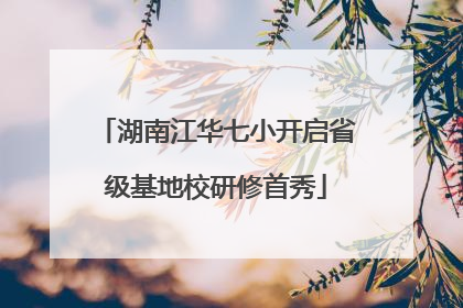 湖南江华七小开启省级基地校研修首秀