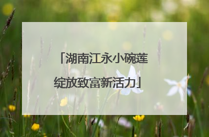 湖南江永小碗莲绽放致富新活力