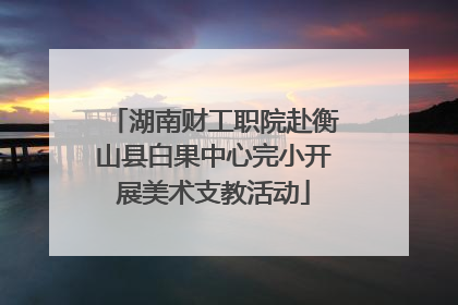 湖南财工职院赴衡山县白果中心完小开展美术支教活动