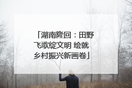 湖南隆回：田野飞歌绽文明 绘就乡村振兴新画卷
