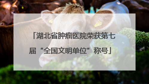 湖北省肿瘤医院荣获第七届“全国文明单位”称号