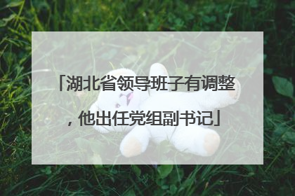 湖北省领导班子有调整，他出任党组副书记