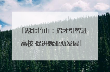 湖北竹山：招才引智进高校 促进就业助发展