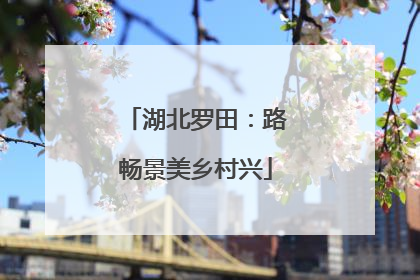 湖北罗田：路畅景美乡村兴