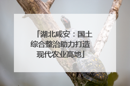湖北咸安：国土综合整治助力打造现代农业高地