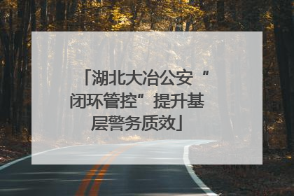 湖北大冶公安“闭环管控”提升基层警务质效