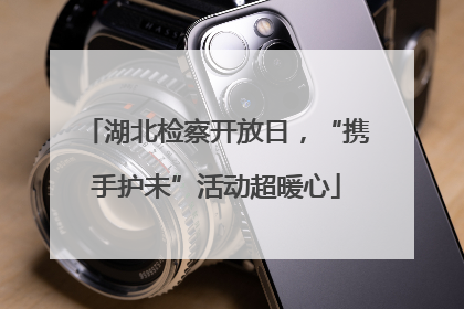 湖北检察开放日，“携手护未”活动超暖心