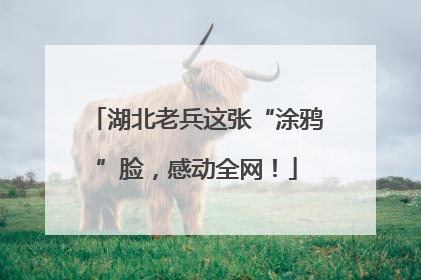 湖北老兵这张“涂鸦”脸，感动全网！