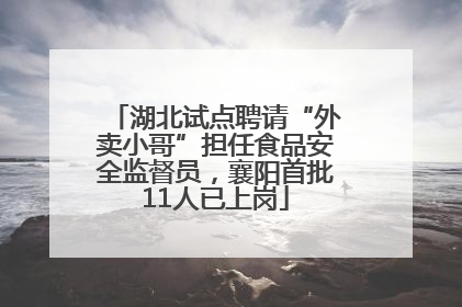 湖北试点聘请“外卖小哥”担任食品安全监督员，襄阳首批11人已上岗