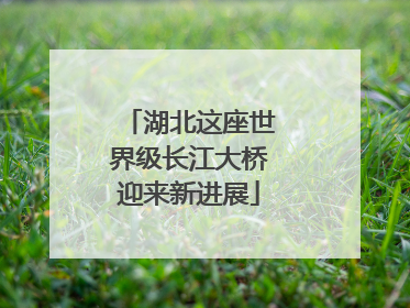湖北这座世界级长江大桥迎来新进展