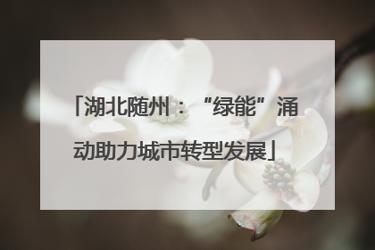湖北随州：“绿能”涌动助力城市转型发展