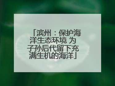 滨州：保护海洋生态环境 为子孙后代留下充满生机的海洋