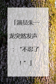 演员朱一龙突然发声：“不忍了！”