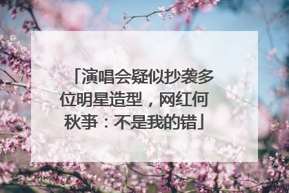 演唱会疑似抄袭多位明星造型，网红何秋亊：不是我的错