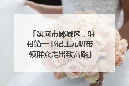 漯河市郾城区：驻村第一书记王元明带领群众走出致富路