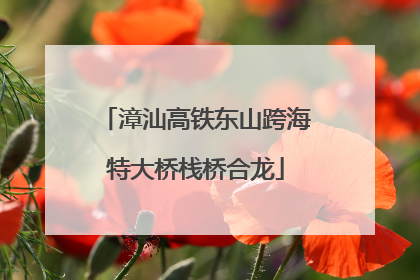 漳汕高铁东山跨海特大桥栈桥合龙