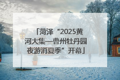 菏泽“2025黄河大集—曹州牡丹园夜游消夏季”开幕