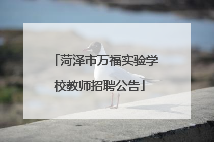 菏泽市万福实验学校教师招聘公告