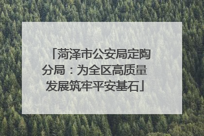 菏泽市公安局定陶分局：为全区高质量发展筑牢平安基石