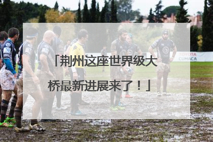 荆州这座世界级大桥最新进展来了！