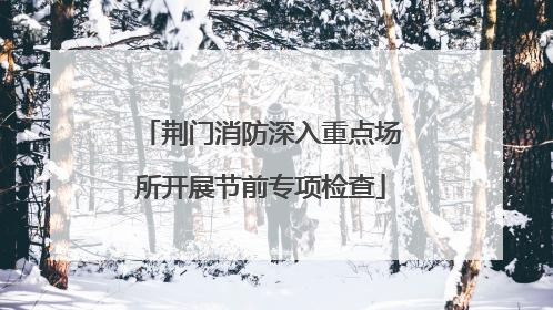 荆门消防深入重点场所开展节前专项检查