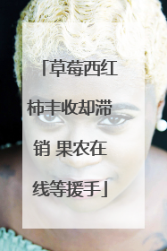 草莓西红柿丰收却滞销 果农在线等援手