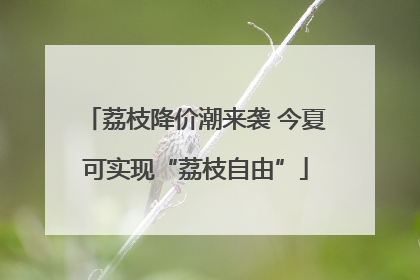 荔枝降价潮来袭 今夏可实现“荔枝自由”