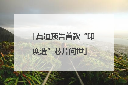 莫迪预告首款“印度造”芯片问世