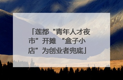 莲都“青年人才夜市”开摊 “盒子小店”为创业者兜底