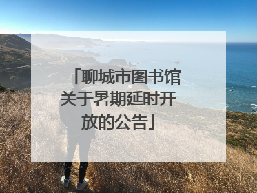 聊城市图书馆关于暑期延时开放的公告