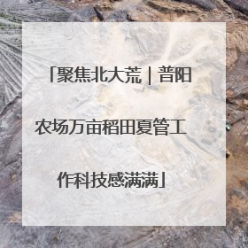 聚焦北大荒｜普阳农场万亩稻田夏管工作科技感满满