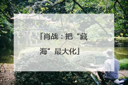 肖战：把“藏海”最大化