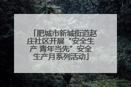 肥城市新城街道赵庄社区开展“安全生产 青年当先”安全生产月系列活动
