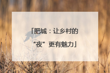 肥城：让乡村的“夜”更有魅力