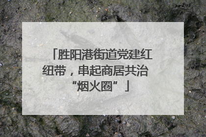 胜阳港街道党建红纽带，串起商居共治 “烟火圈”