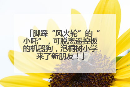 脚踩“风火轮”的“小吒”，可脱离遥控板的机器狗，泡桐树小学来了新朋友！