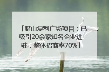腊山复利广场项目：已吸引20余家知名企业进驻，整体招商率70%