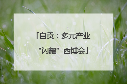 自贡：多元产业“闪耀”西博会