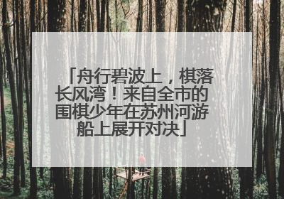 舟行碧波上，棋落长风湾！来自全市的围棋少年在苏州河游船上展开对决