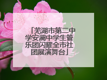 芜湖市第二中学安澜中学生管乐团闪耀全市社团展演舞台