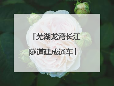 芜湖龙湾长江隧道建成通车