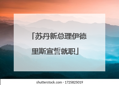 苏丹新总理伊德里斯宣誓就职