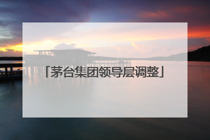 茅台集团领导层调整