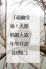 萌翻全场！人形机器人嘉年华开进花博汇
